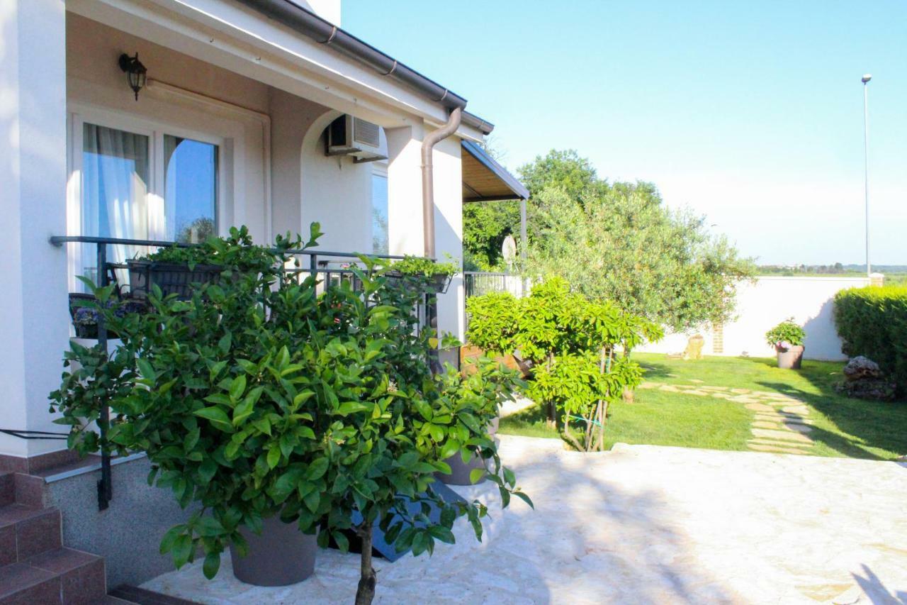 Apartments Lila Novigrad Istria Dış mekan fotoğraf